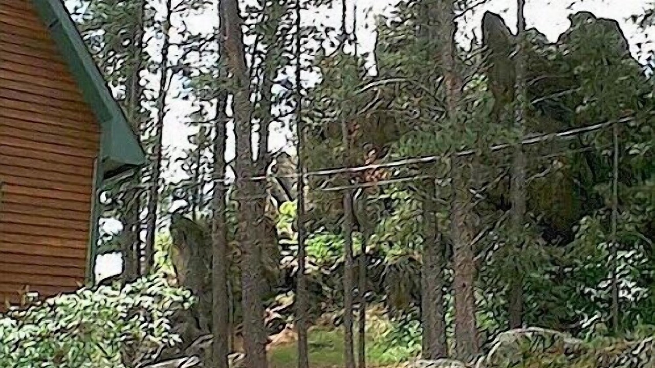 Photo of Outdoor in Custer