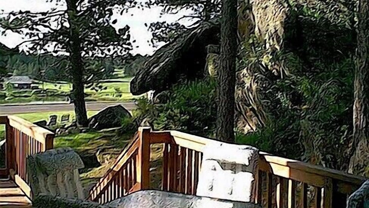 Photo of Patio Balcony in Custer