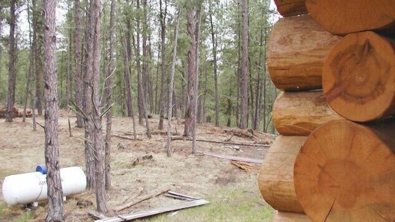 Photo of Outdoor in Custer