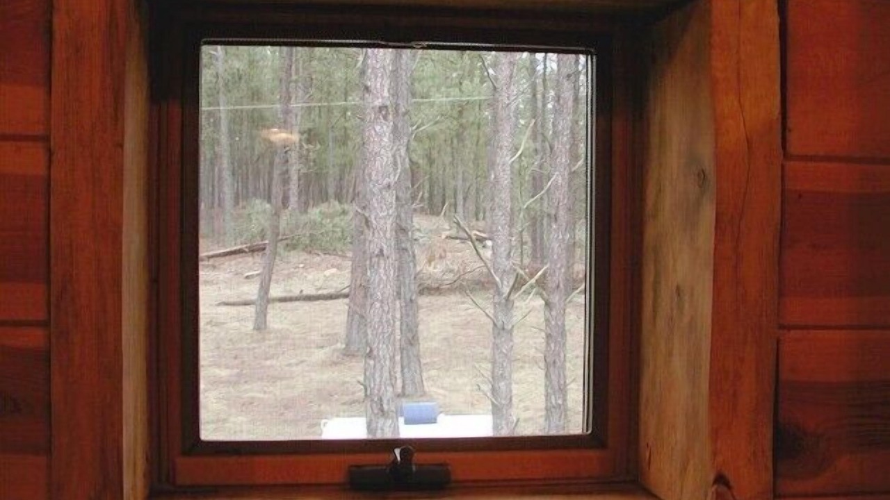 Photo of Bedroom in Custer