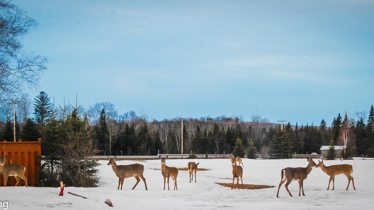 Photo of Others in Nominingue