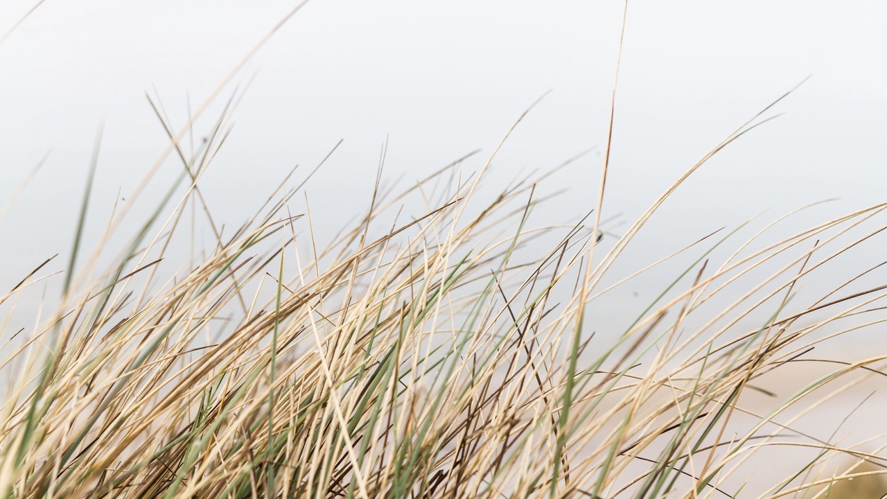 Photo of Outdoor in Hulsig