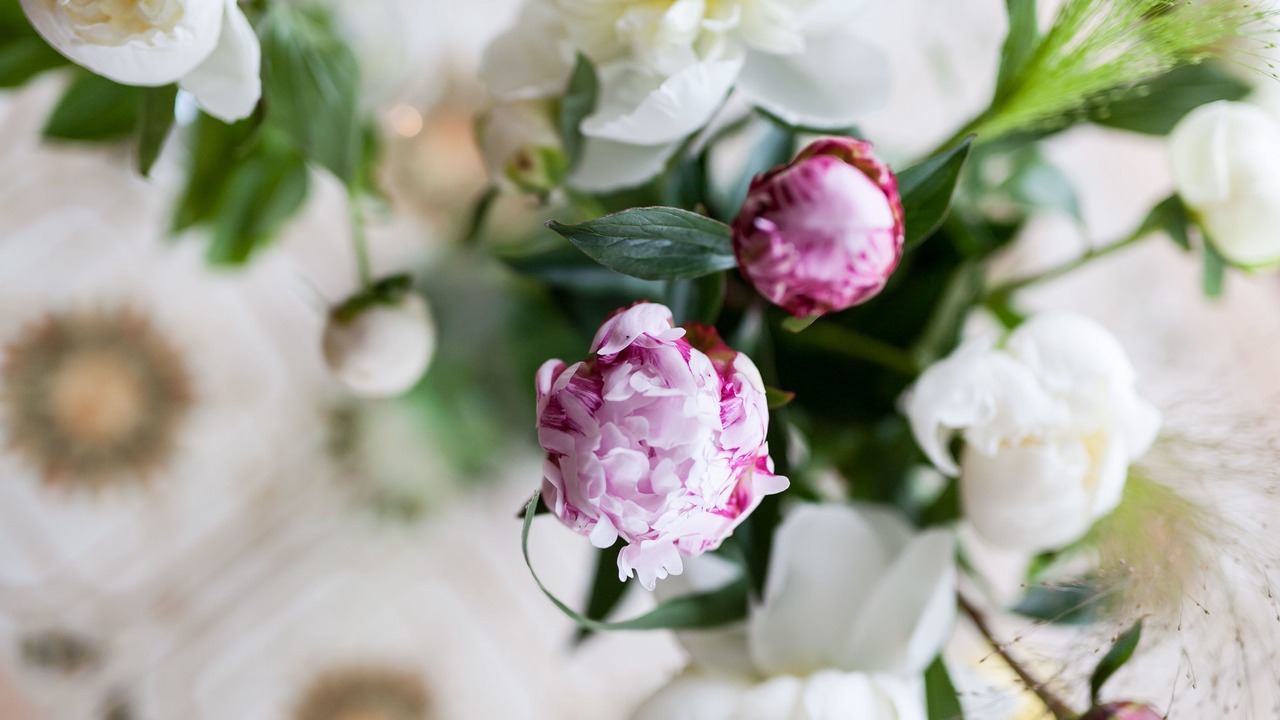 Photo of Others in Hulsig