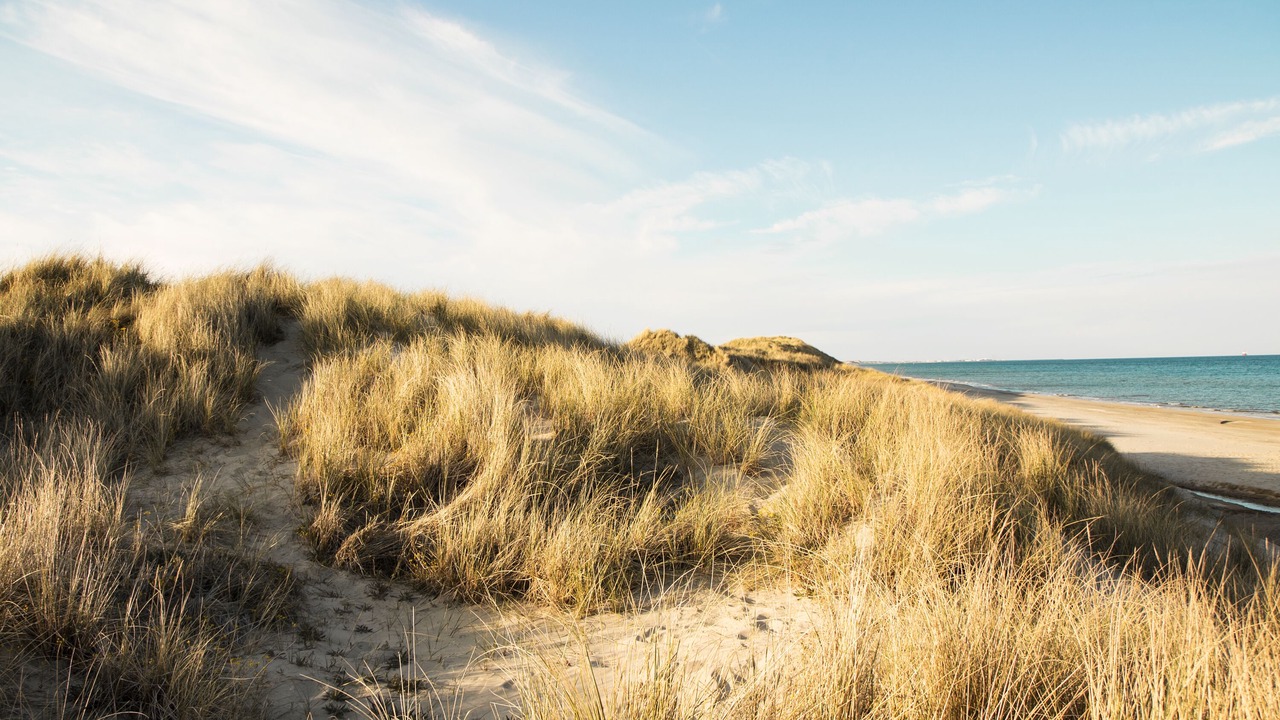 Photo of Others in Hulsig