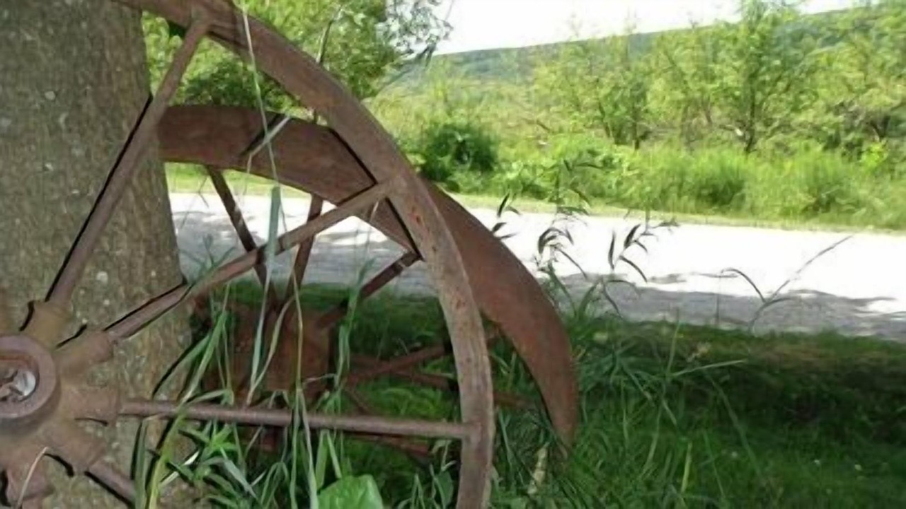 Photo of Outdoor in Glen Huron