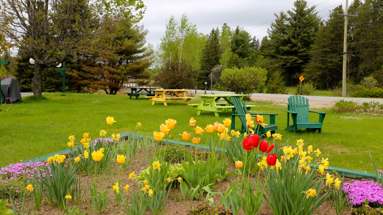 Photo of Outdoor in Huntsville