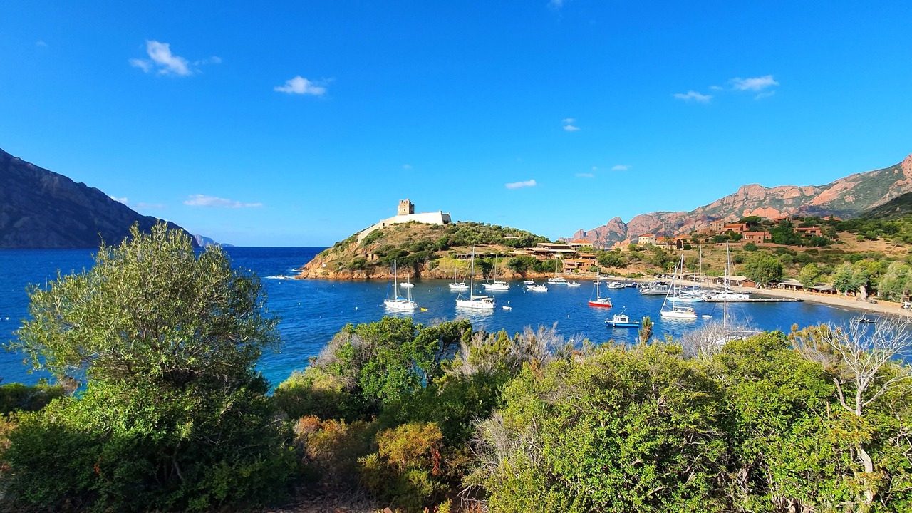 Photo of Others in Porto