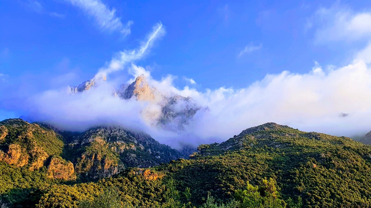 Photo of Others in Porto