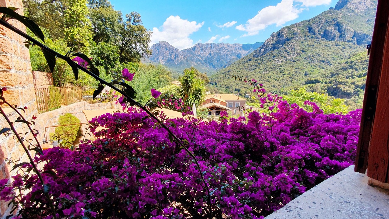 Photo of Bathroom in Porto