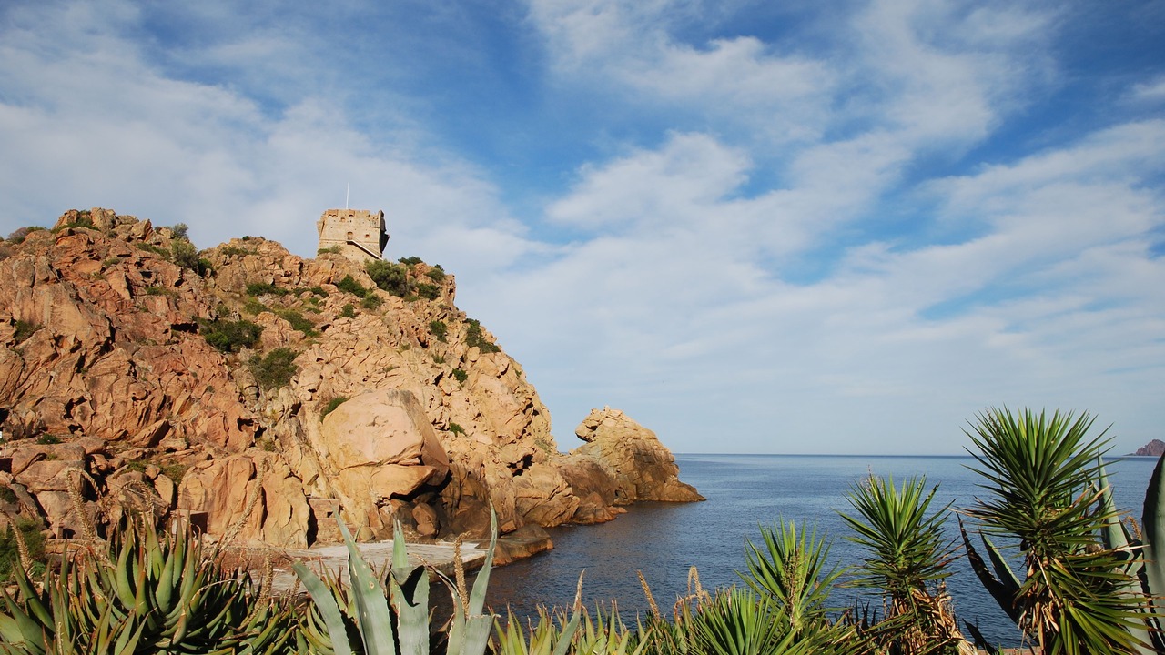 Photo of Others in Porto