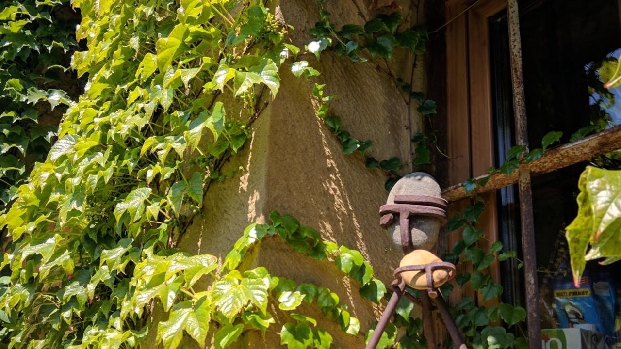 Photo of Outdoor in Concilio