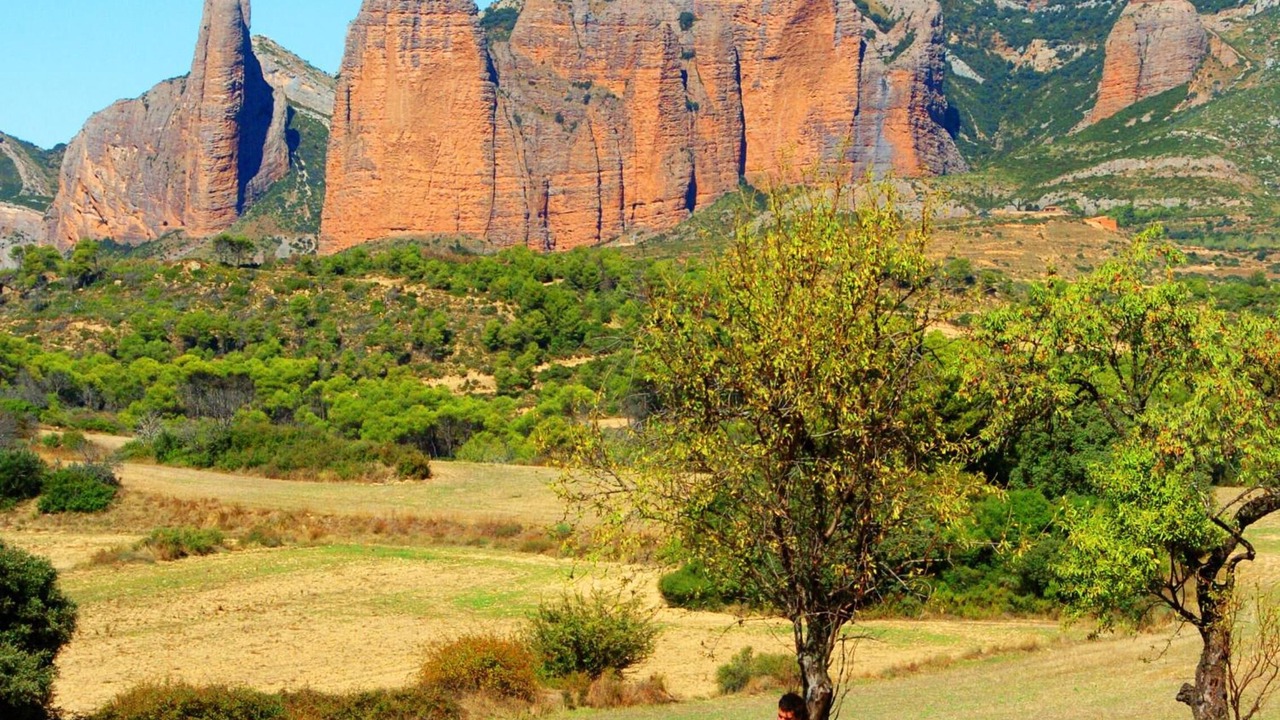 Photo of Outdoor in Concilio