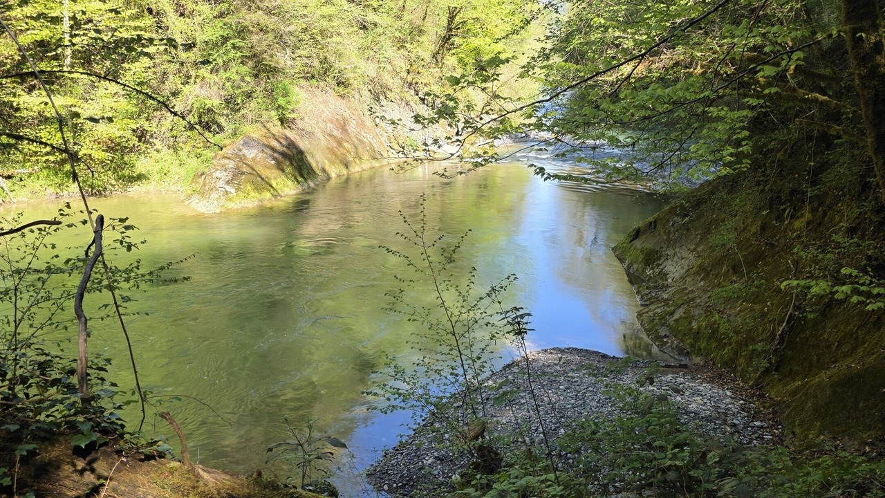 Photo of Outdoor in Alby-sur-Cheran