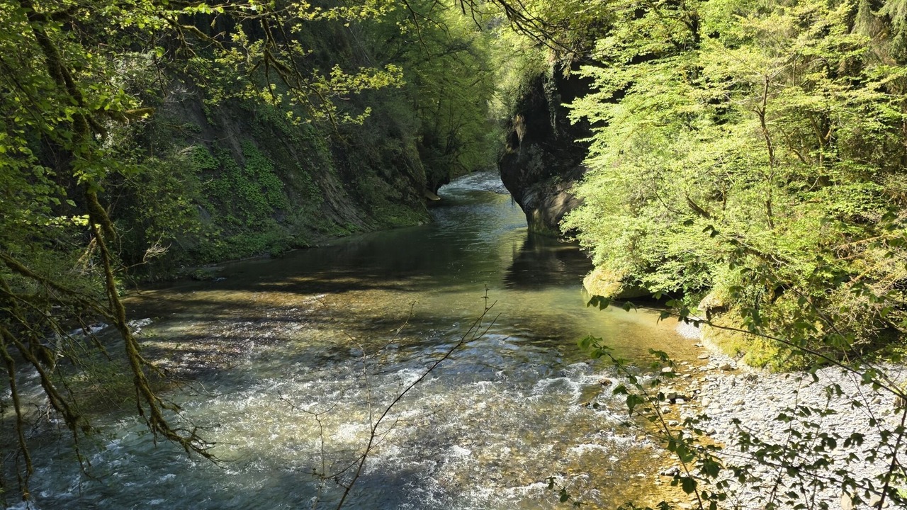 Photo of Outdoor in Alby-sur-Cheran