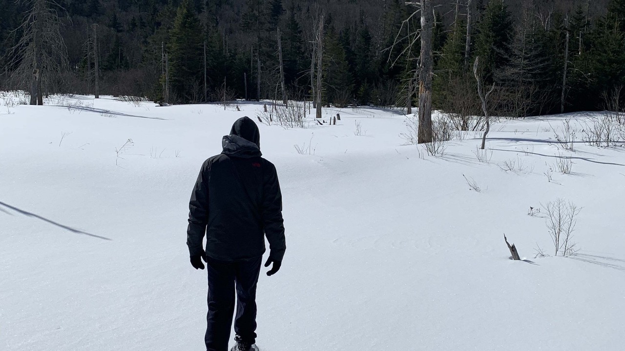 Photo of Others in Bretton Woods