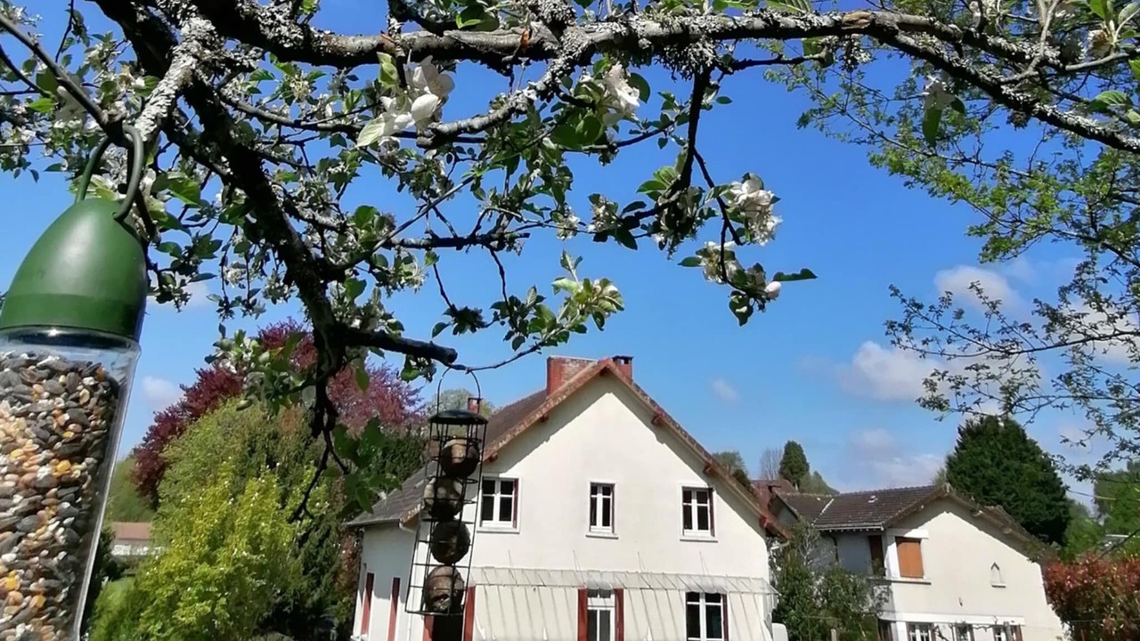 Photo of Outdoor in Chalus