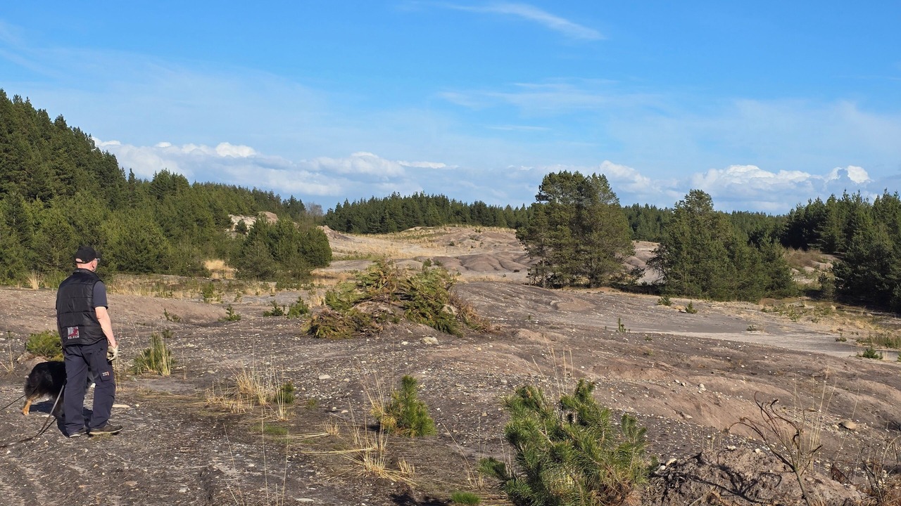 Photo of Outdoor in Skygge