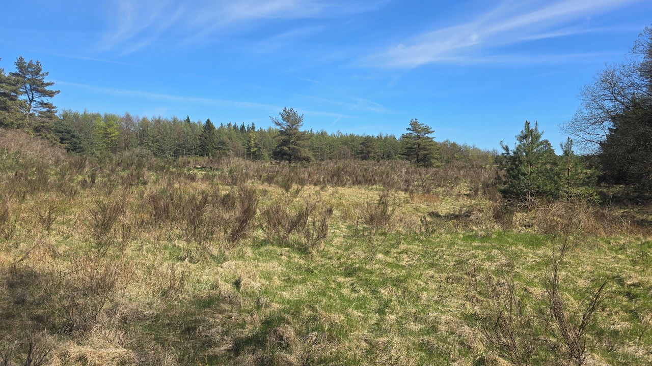 Photo of Outdoor in Skygge