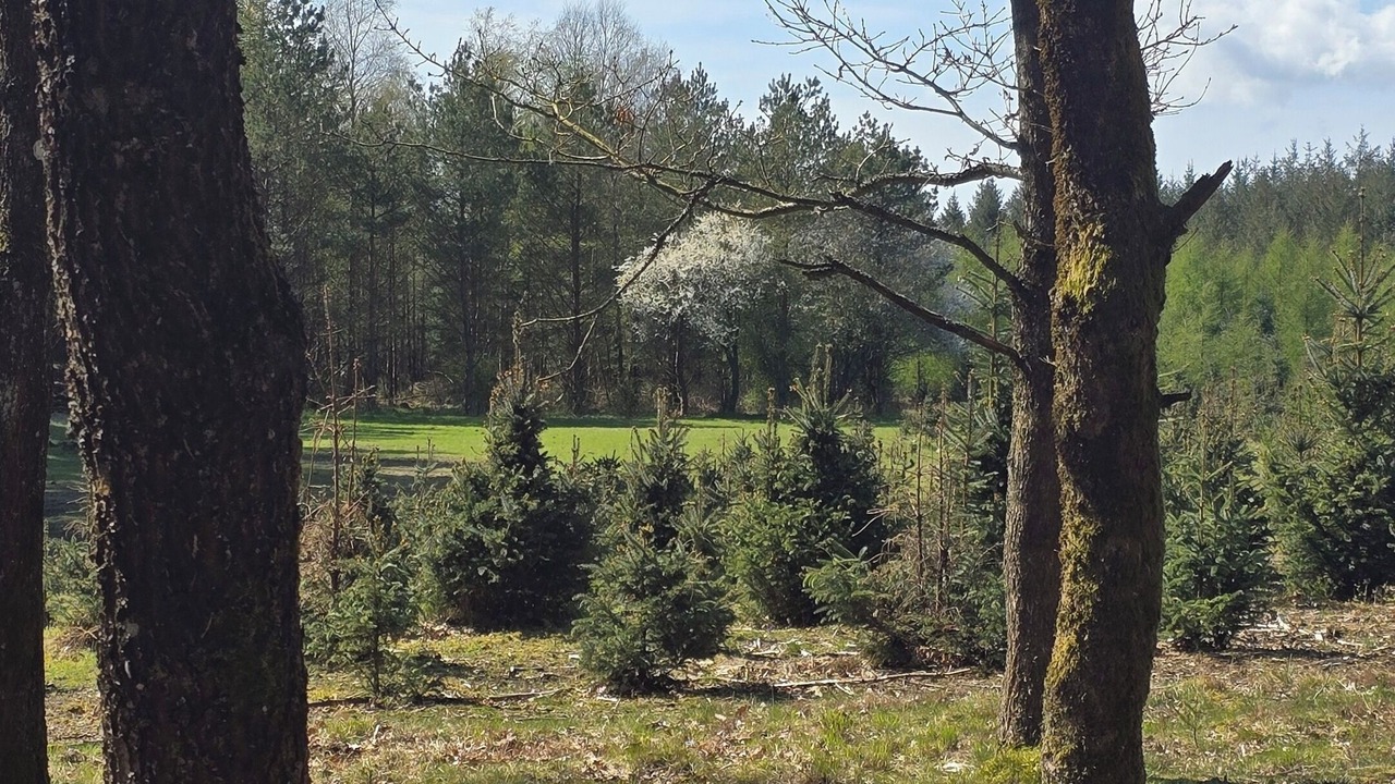 Photo of Outdoor in Skygge