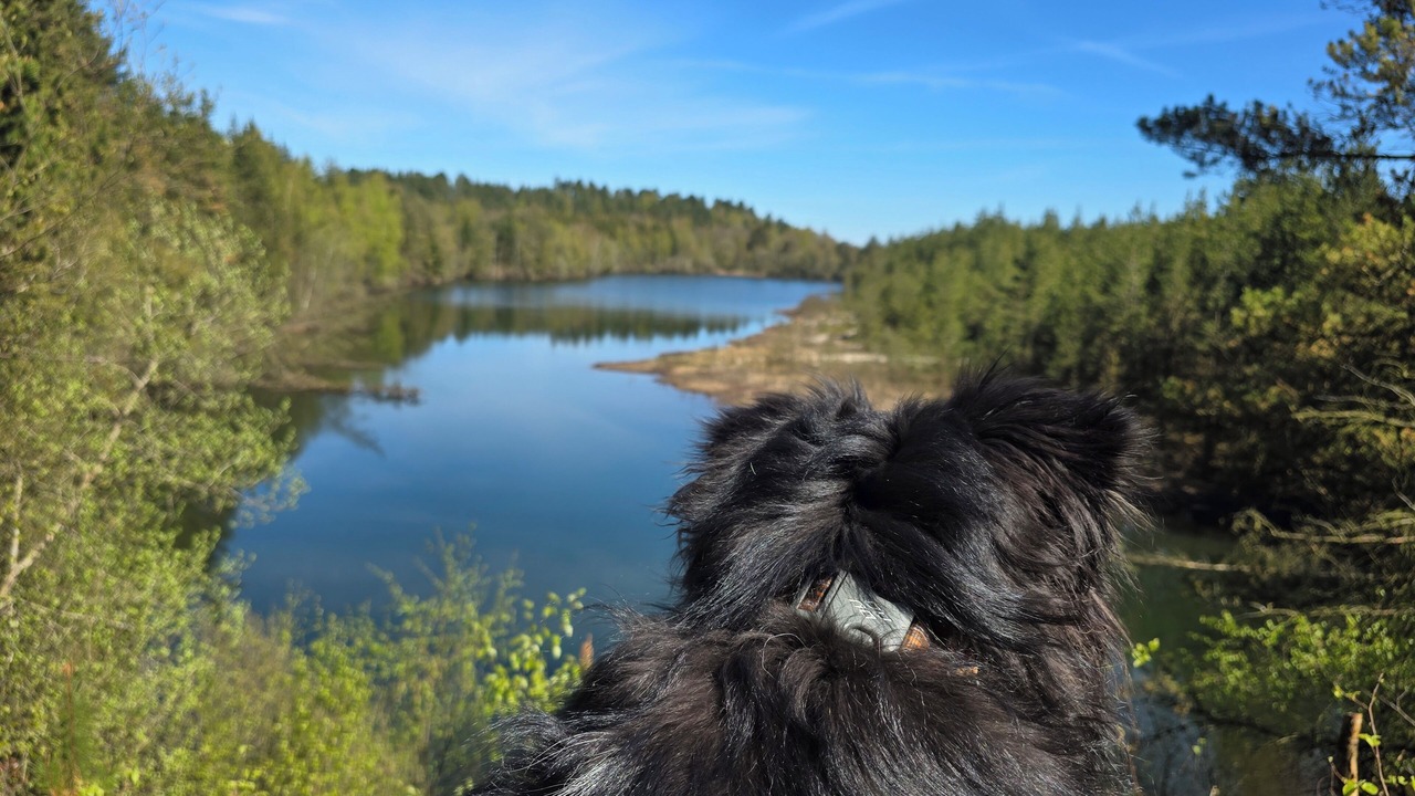Photo of Outdoor in Skygge