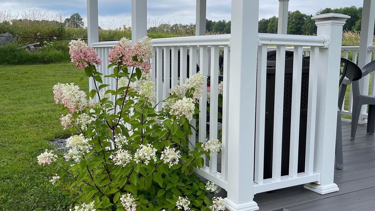 Photo of Outdoor in Washington