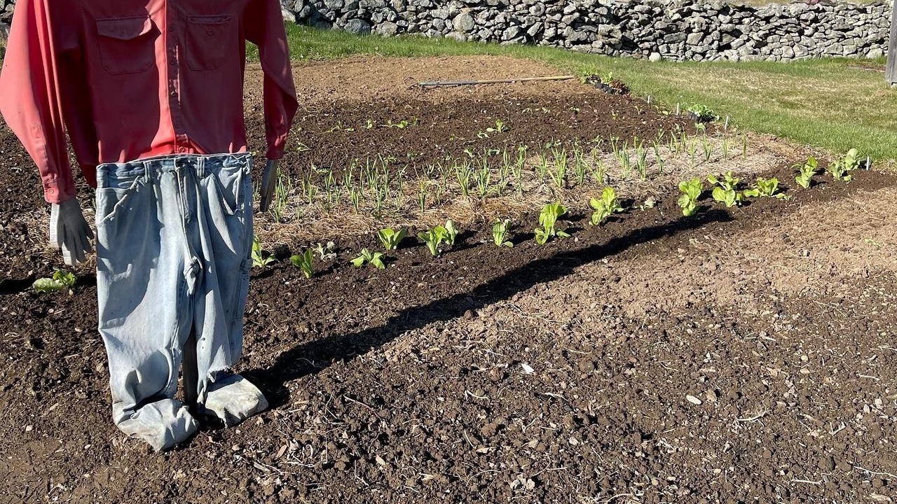 Photo of Outdoor in Washington