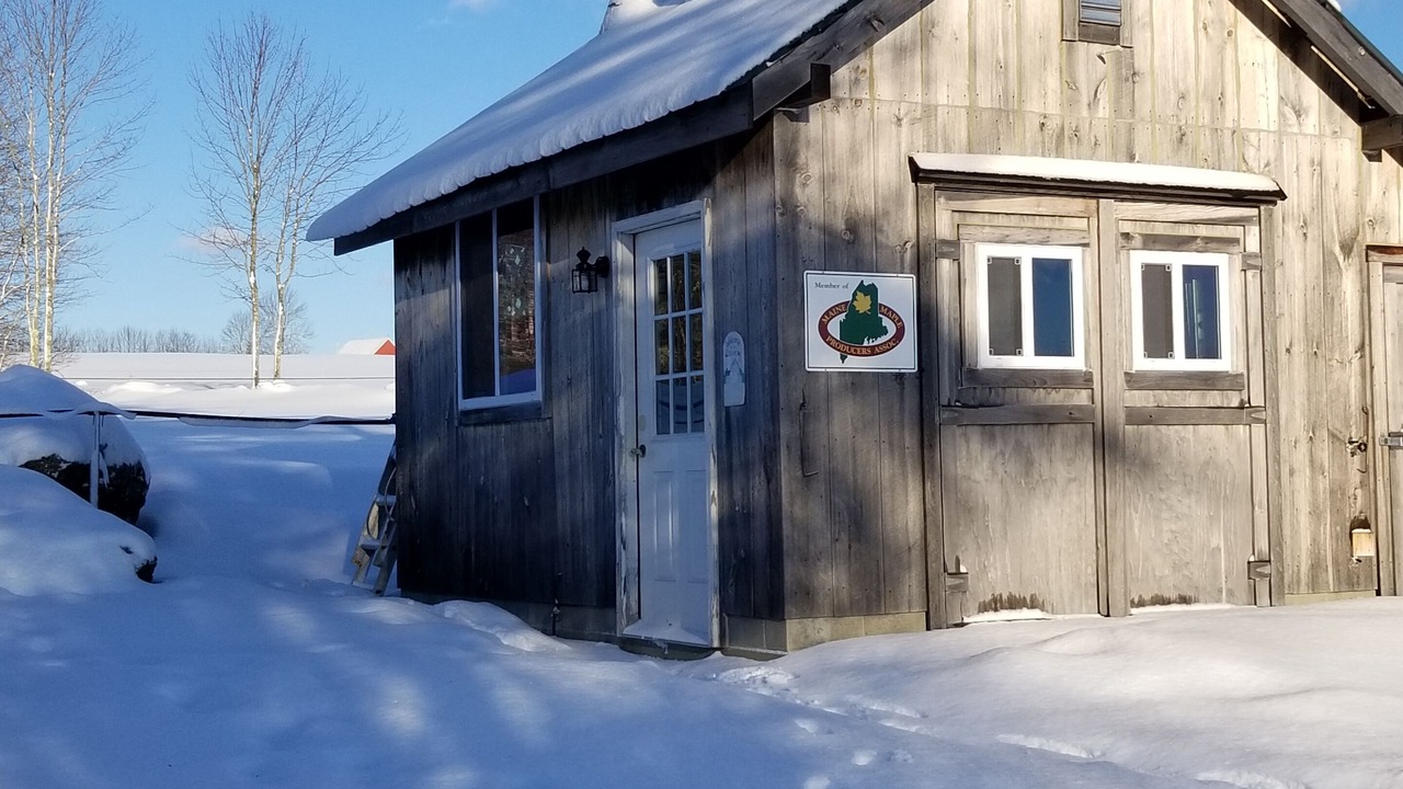 Photo of Outdoor in Washington