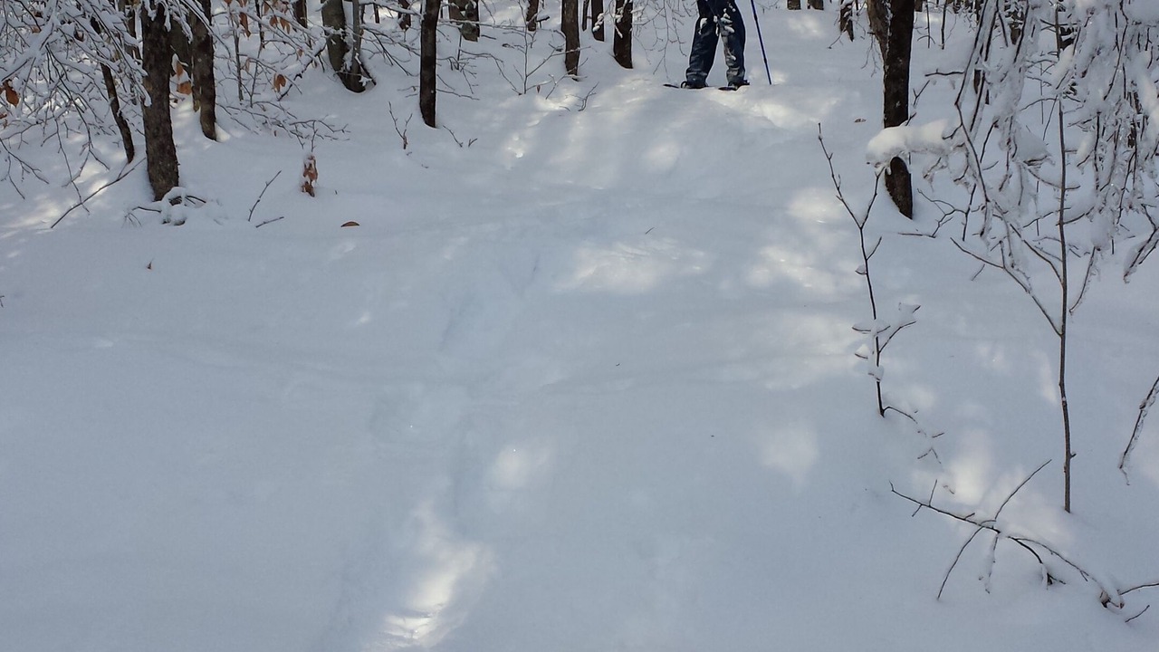 Photo of Outdoor in Washington