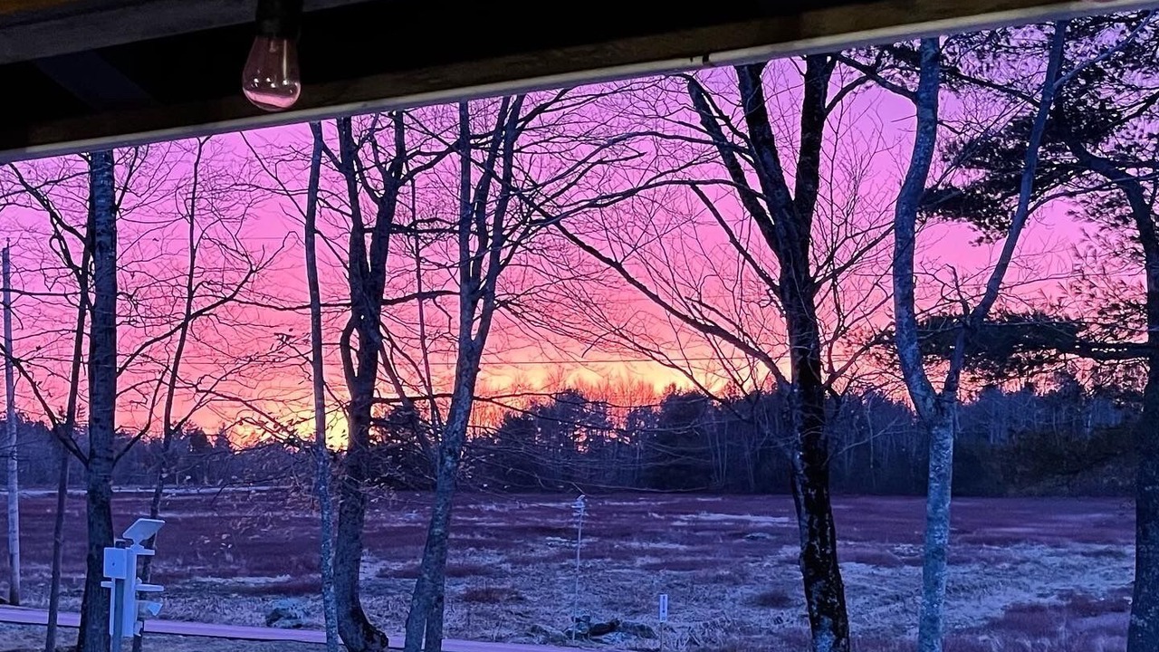 Photo of Others in Washington