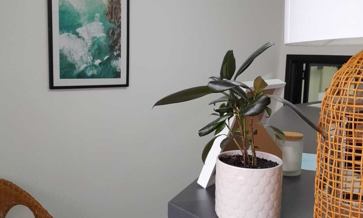 Photo of Others in Coogee