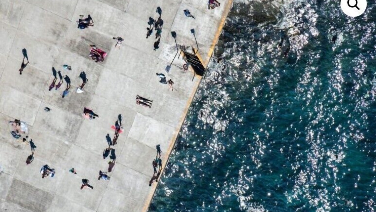 Photo of Others in Coogee
