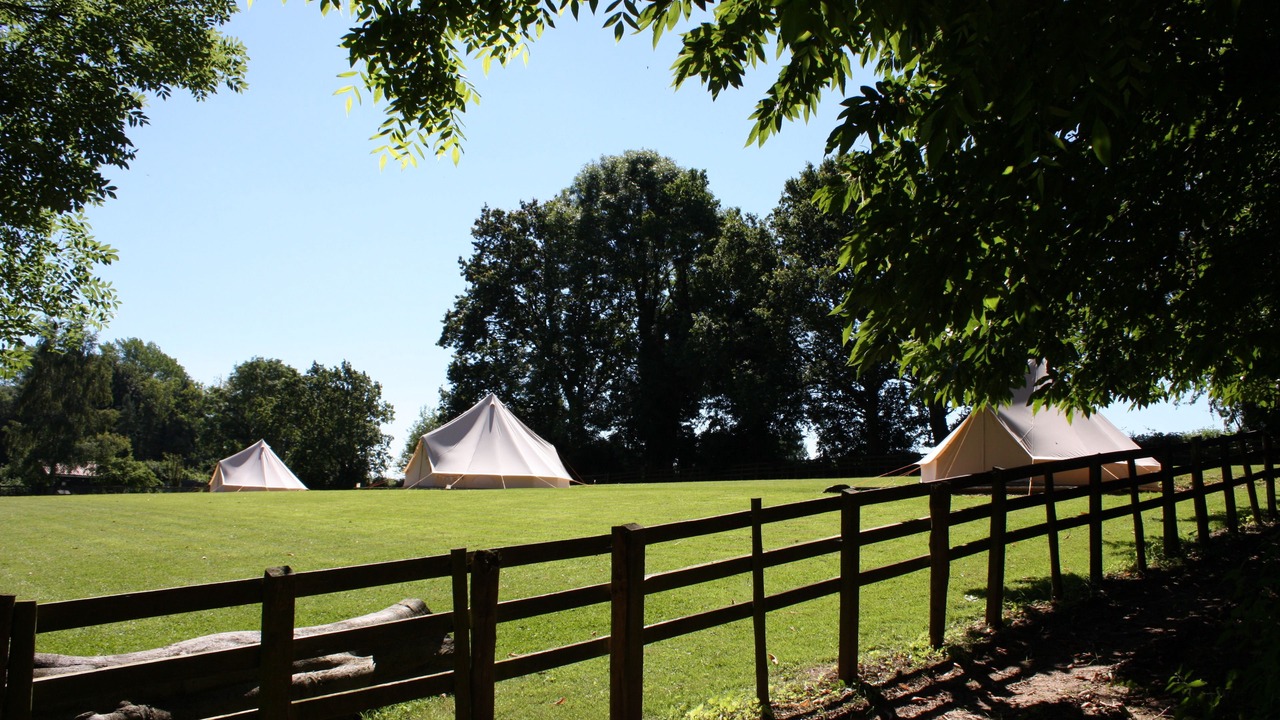 Photo of Others in Brampton