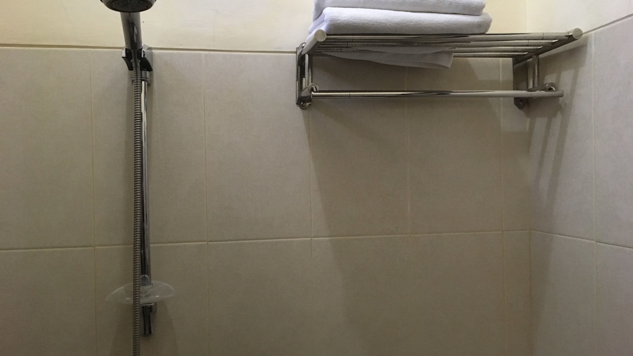 Photo of Bathroom in Wirobrajan