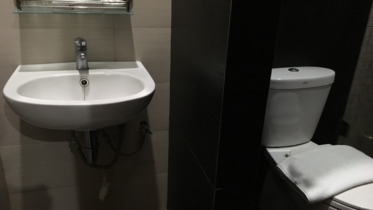 Photo of Bathroom in Wirobrajan
