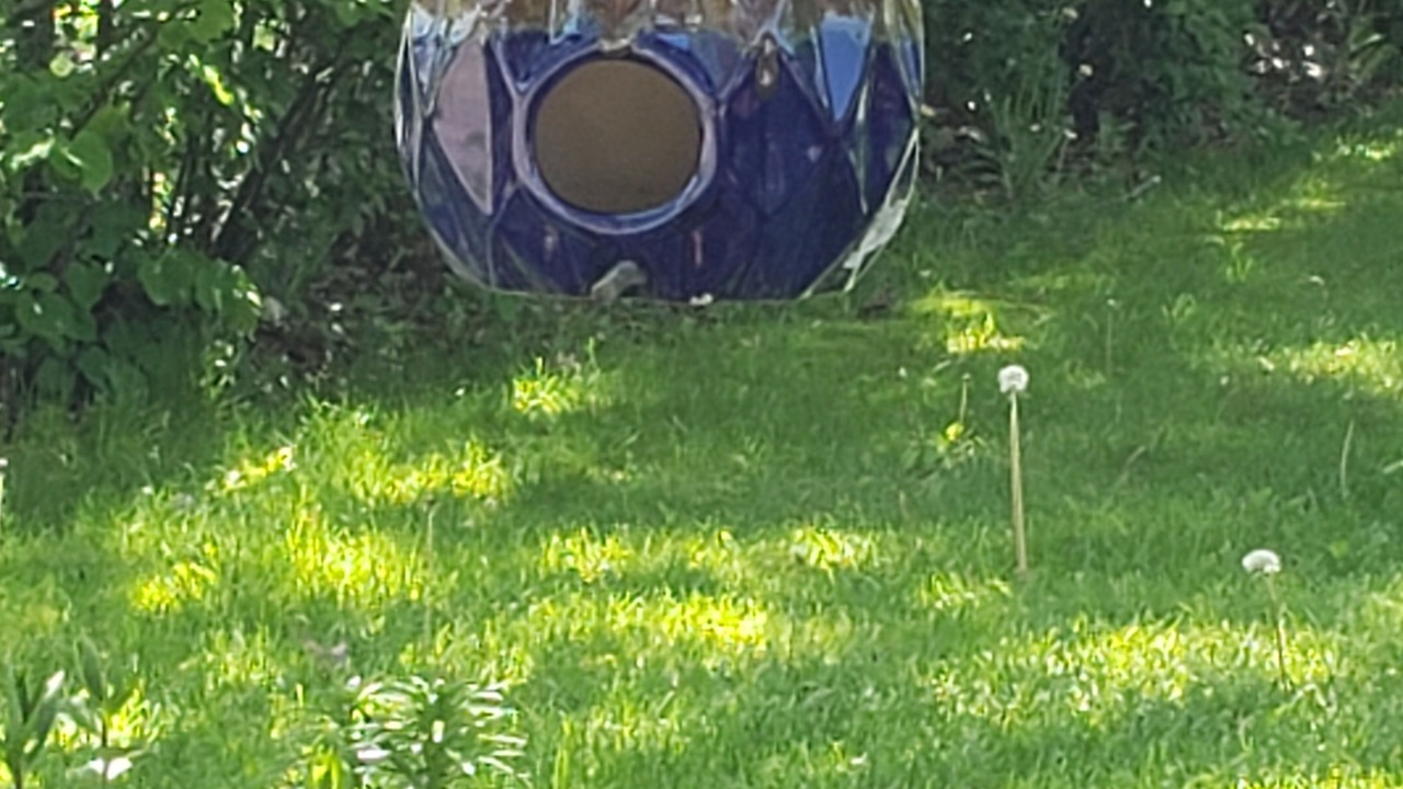 Photo of Outdoor in Stratford