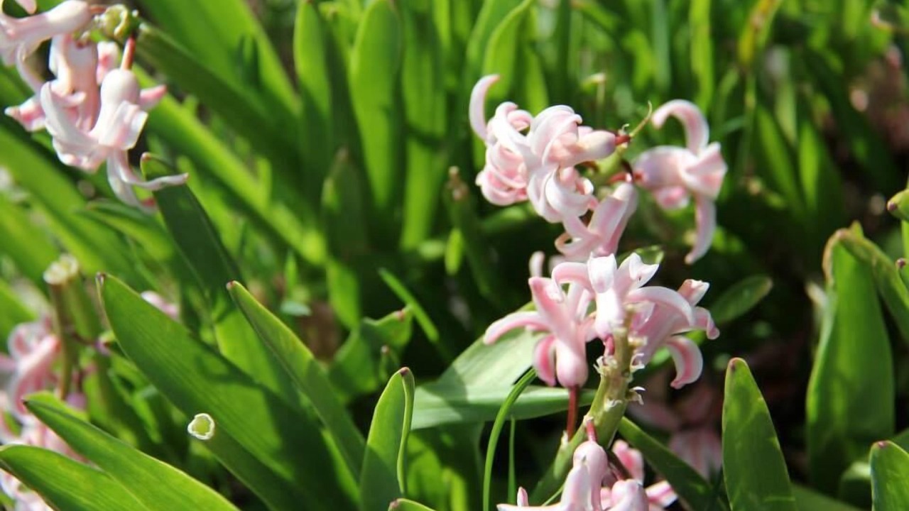 Photo of Outdoor in Stratford