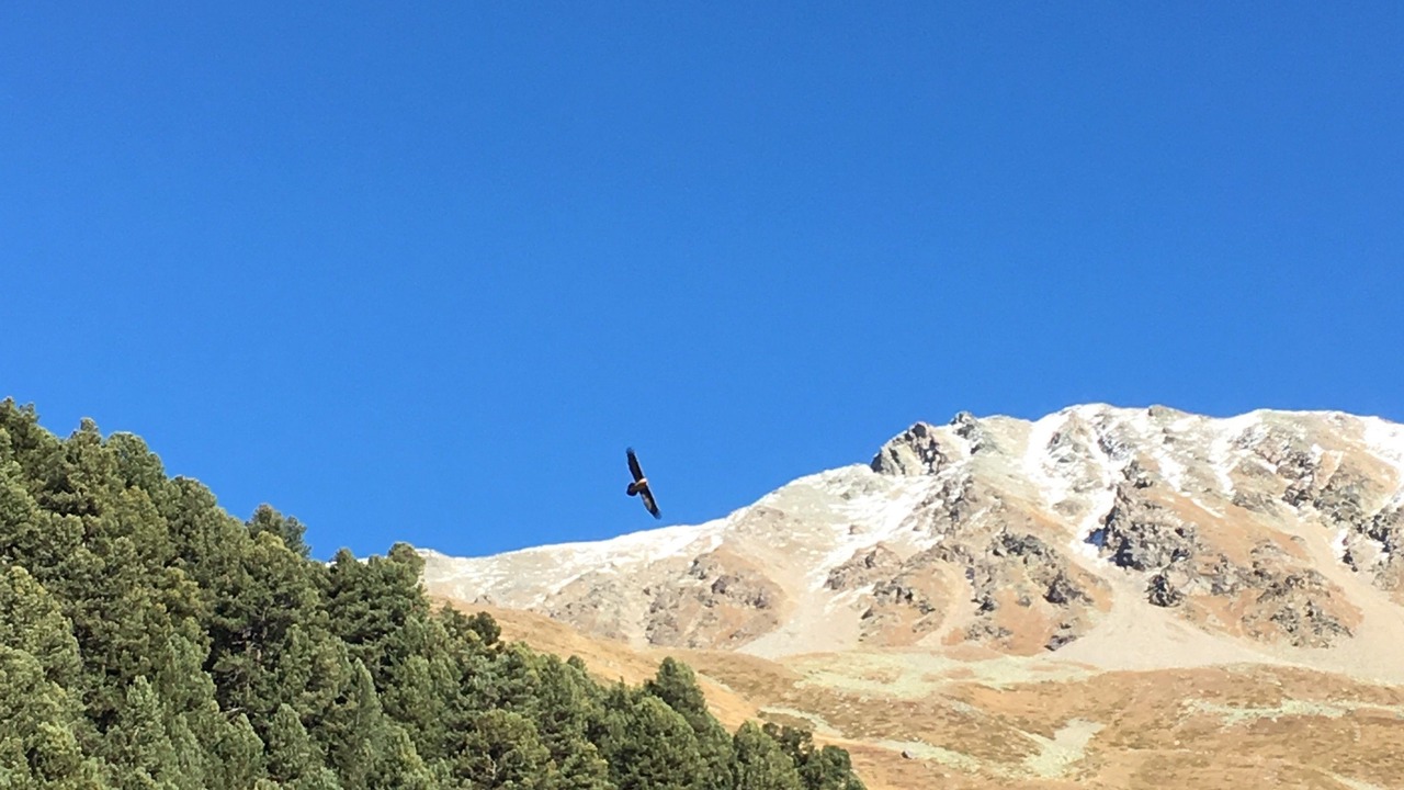 Photo of Outdoor in Tschierv