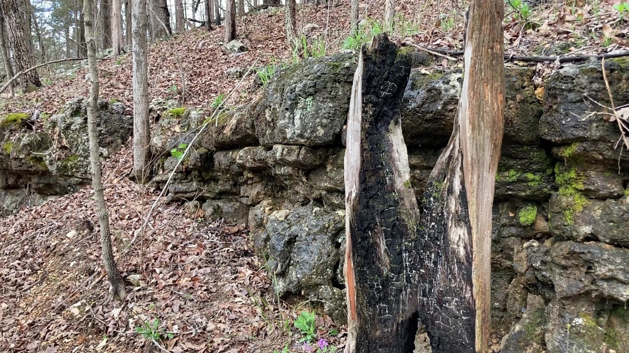 Photo of Outdoor in Hartshorn
