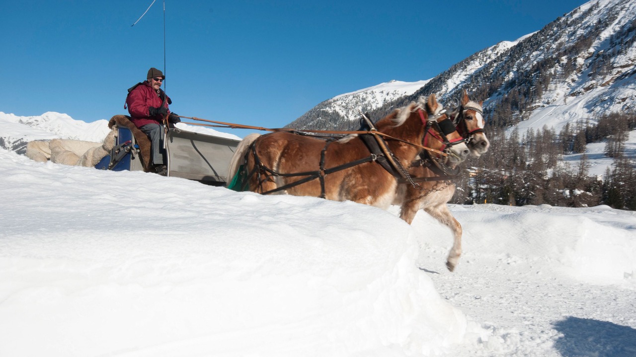 Photo of Others in Pontresina