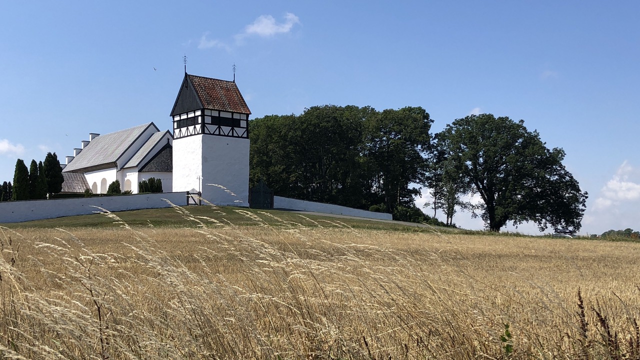 Photo of Others in Spidsegard