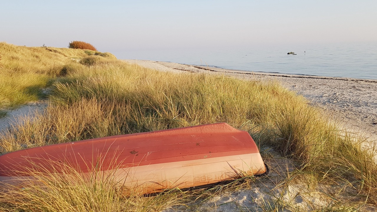 Photo of Others in Spidsegard