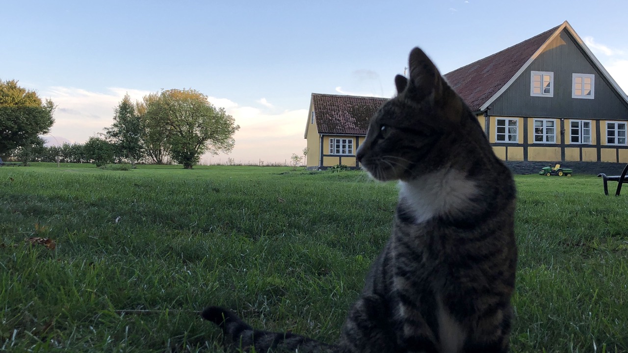 Photo of Patio Balcony in Spidsegard