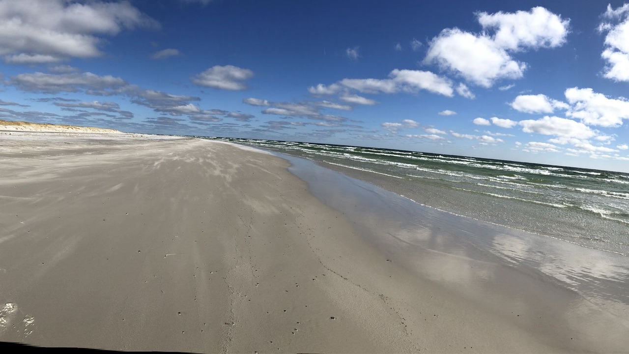 Photo of Others in Spidsegard