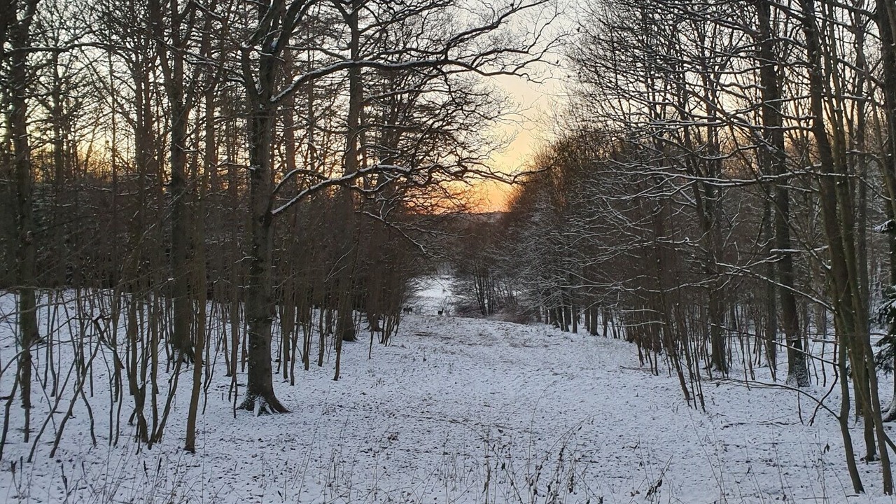 Photo of Outdoor in Haslev