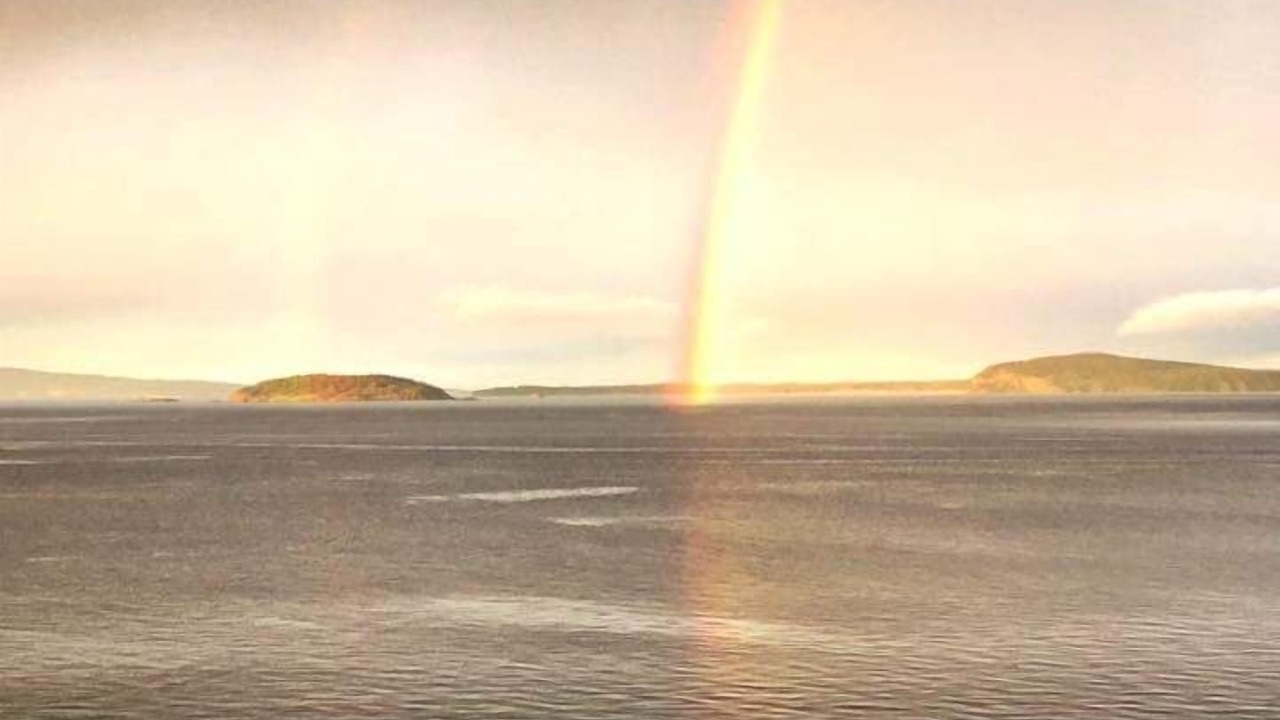 Photo of Others in Friday Harbor