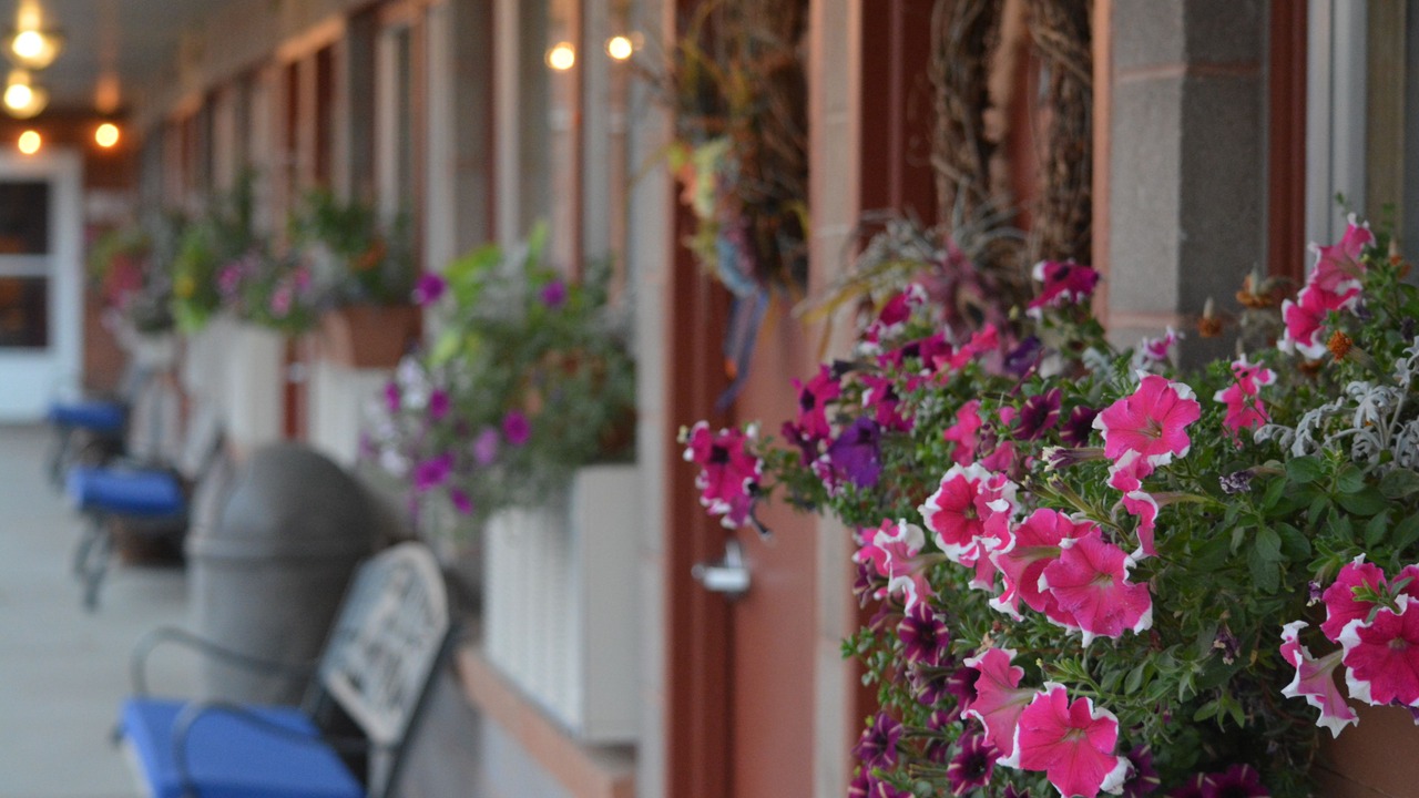 Photo of Outdoor in Hardin