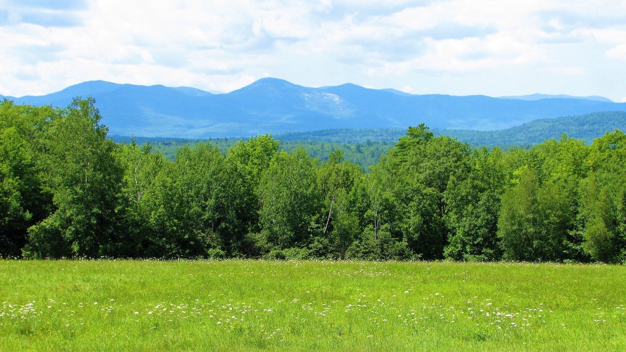 Photo of Bedroom in Center Lovell