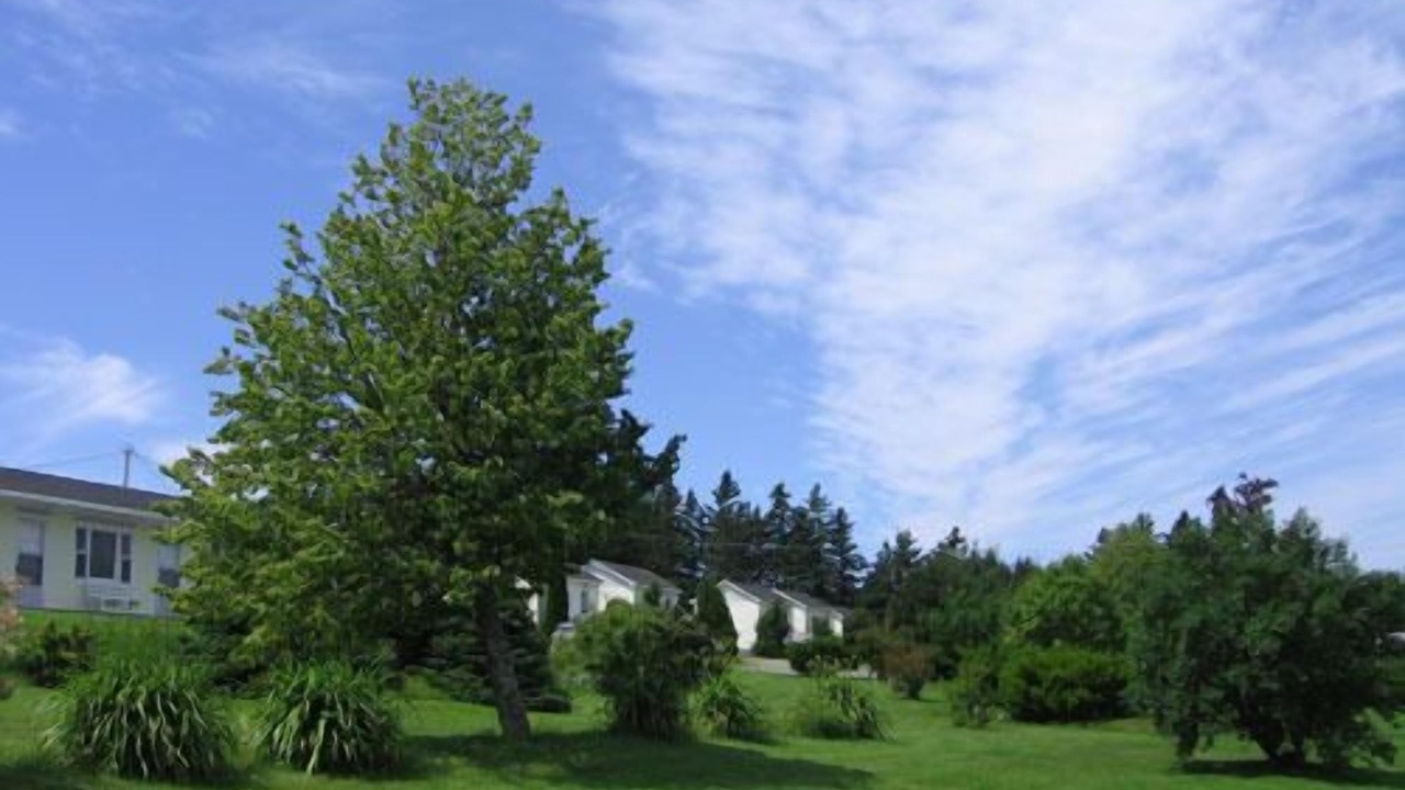 Photo of Outdoor in St. Peters