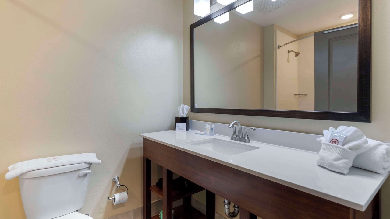 Photo of Others in East Ellijay