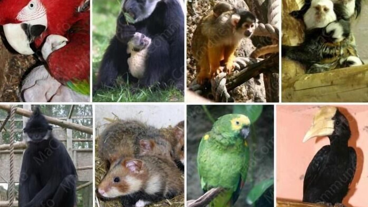 Photo of Outdoor in Saint-Francois d'Assise